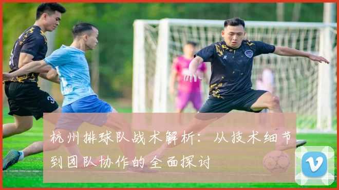 杭州排球队战术解析：从技术细节到团队协作的全面探讨